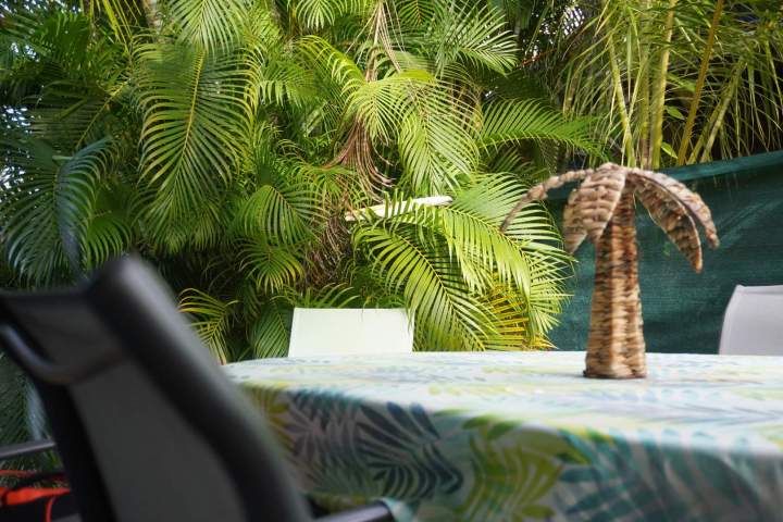 DSC08270